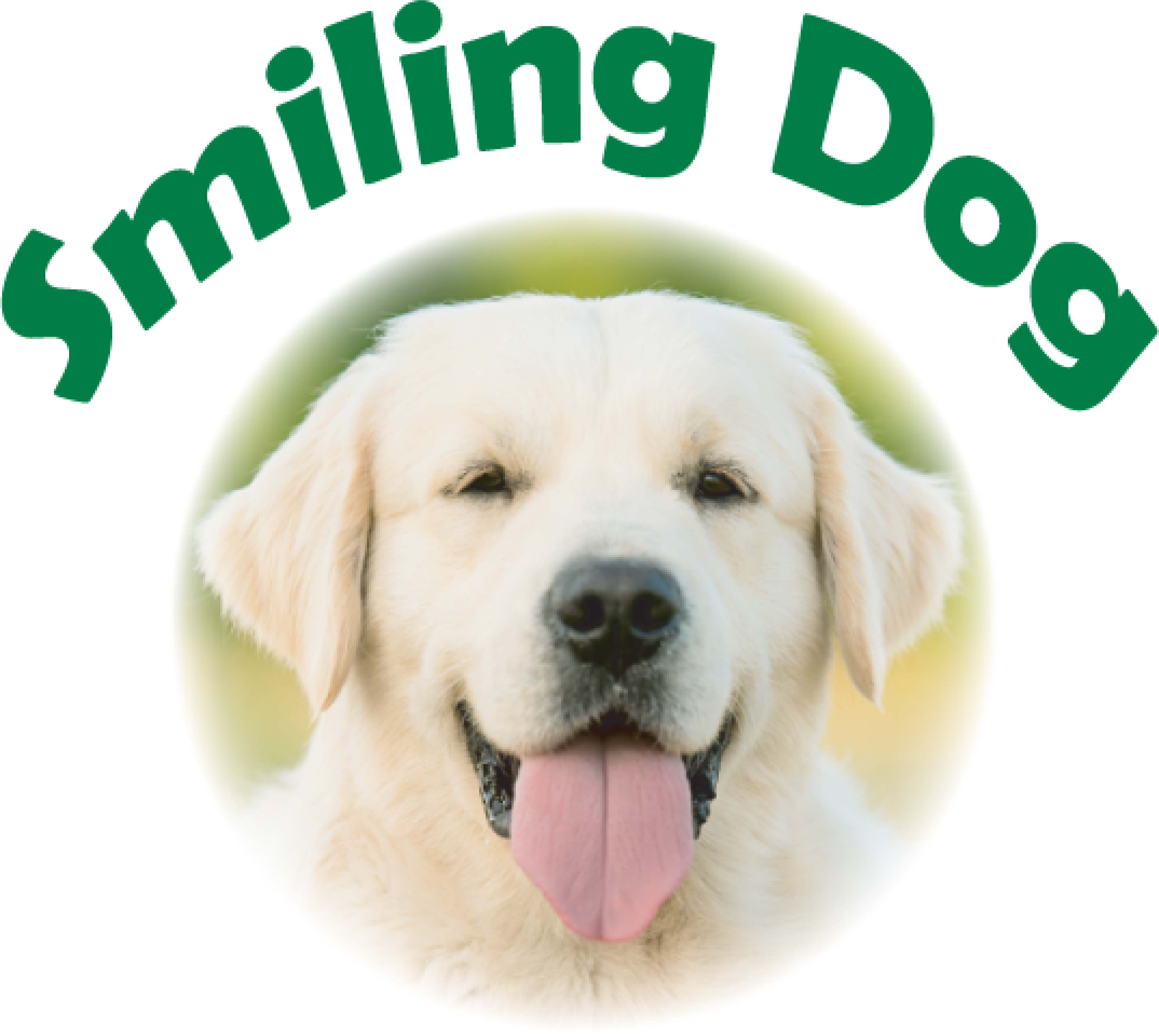Smiling Dog